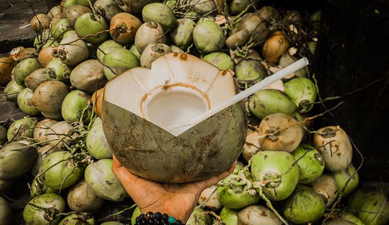 Chữa sỏi mật bằng nước dừa có thật sự hiệu quả?