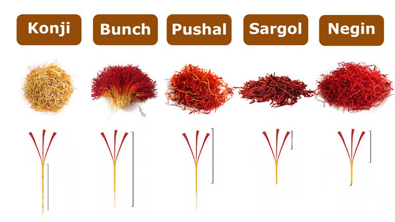 Các loại saffron phân chia theo chiều dài sợi nhụy hoa