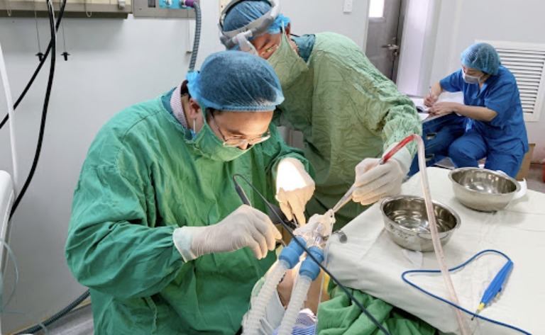 Quy trình phẫu thuật cắt amidan