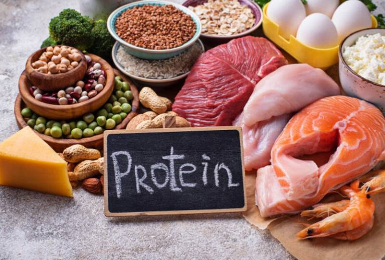 Nhóm thực phẩm giàu protein 