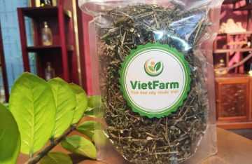 Trung tâm dược liệu Vietfarm - Địa chỉ cung cấp xuyên tâm liên uy tín, chất lượng số 1 Việt Nam