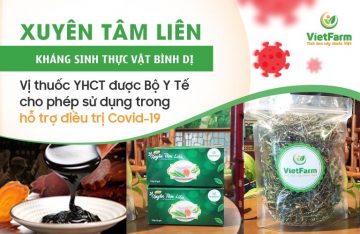 [Bản tin Covid-19] Xuyên tâm liên - Vị thuốc YHCT được Bộ Y Tế cho phép sử dụng trong điều trị Covid-19 tại Việt Nam 