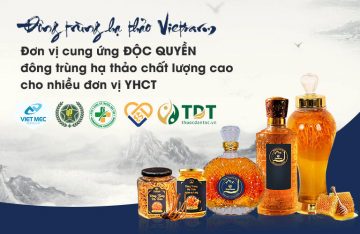 Đông trùng hạ thảo Vietfarm - Đơn vị cung ứng độc quyền đông trùng hạ thảo bán tự nhiên chất lượng cao cho nhiều đơn vị YHCT trên toàn quốc 