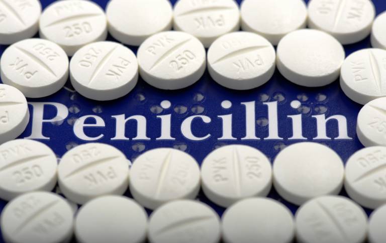 Thuốc kháng sinh Penicillin chữa viêm phế quản