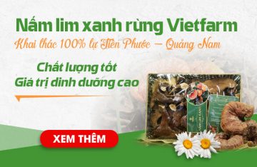 Nấm lim xanh rừng Vietfarm: Tinh hoa nấm Việt từ cây gỗ lim
