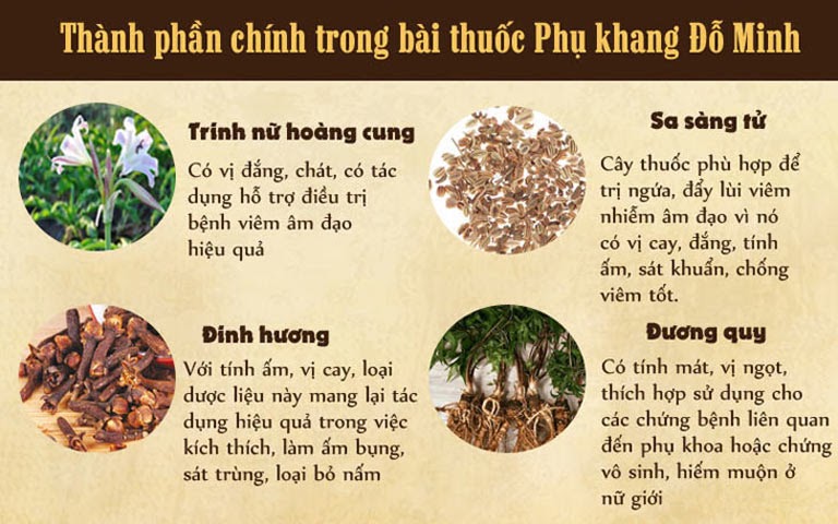 Những cây thuốc nam thuần Việt quý hàng đầu có mặt trong bài thuốc gia truyền Phụ Khang Đỗ Minh