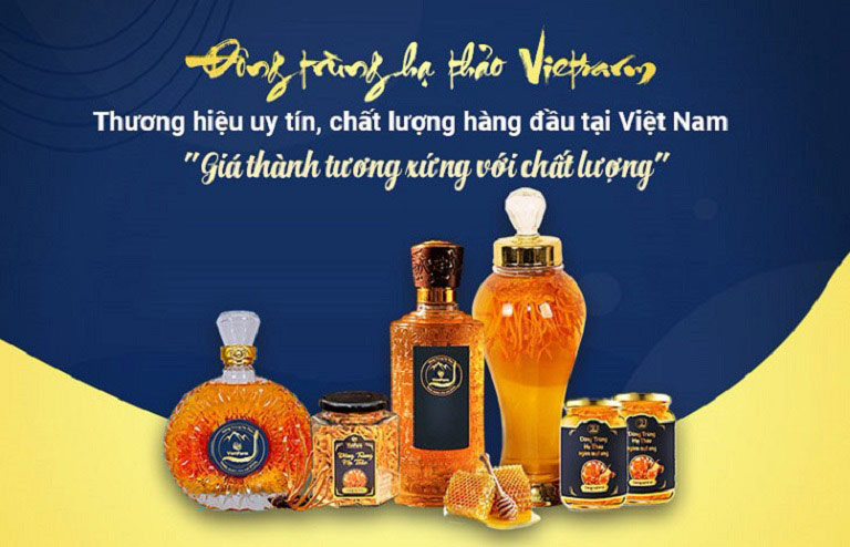 Vietfarm là địa chỉ mua đông trùng hạ thảo uy tín hàng đầu Việt Nam