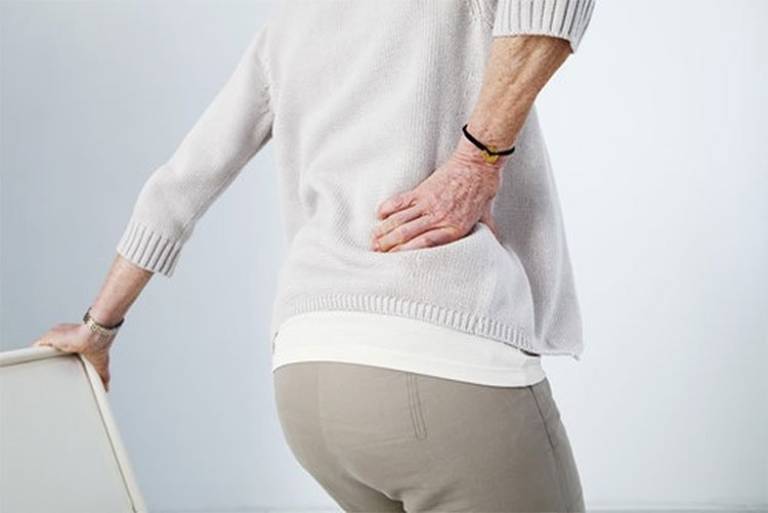 Chữa đau lưng bằng cây xương rồng có hiệu quả không? 