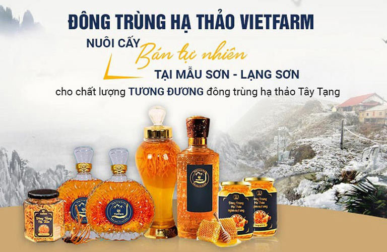 Đông trùng hạ thảo Vietfarm là lựa chọn hàng đầu cho người tiêu dùng Việt