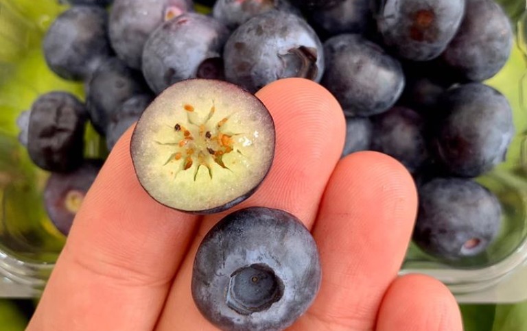 Xuất huyết dạ dày nên ăn hoa quả gì để cải thiện bệnh?