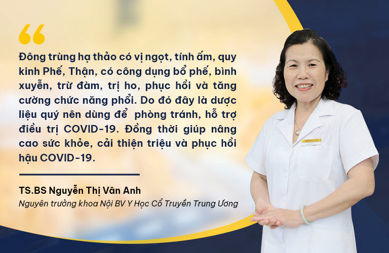 TS.BS Nguyễn Thị Vân Anh nhận định tác dụng của đông trùng hạ thảo