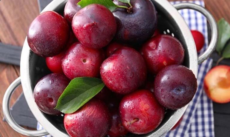 Bị táo bón nên ăn trái cây gì? Gợi ý các loại quả phù hợp