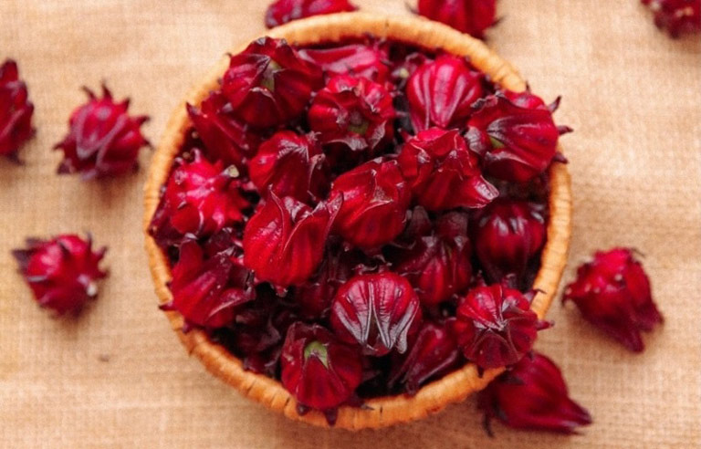 Hoa Atiso đỏ chứa hàm lượng dinh dưỡng cao và nhiều dược chất quý