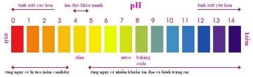 Thử độ pH