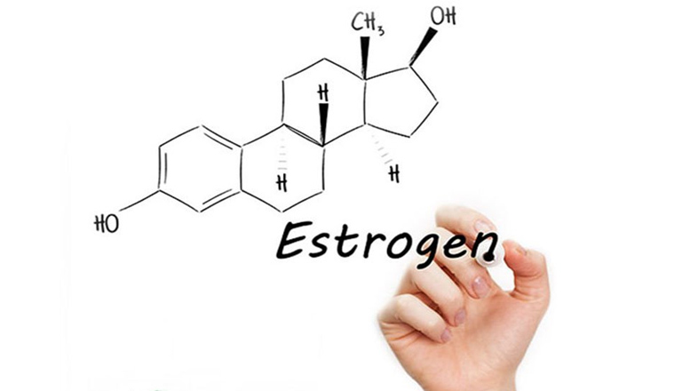 Nội tiết tố nữ còn thường gọi là Estrogen
