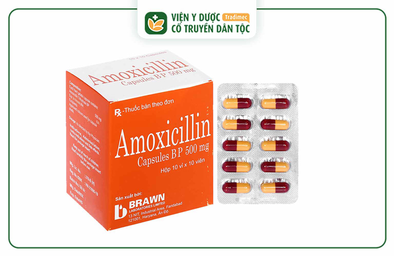 Thuốc điều trị vi khuẩn HP hiệu quả Amoxicillin