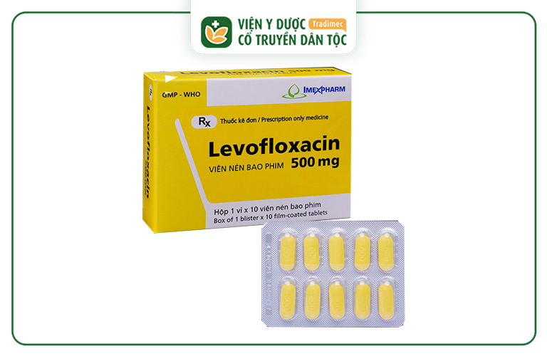 Levofloxacin là một lựa chọn hiệu quả cho việc điều trị các bệnh lý nhiễm trùng do vi khuẩn