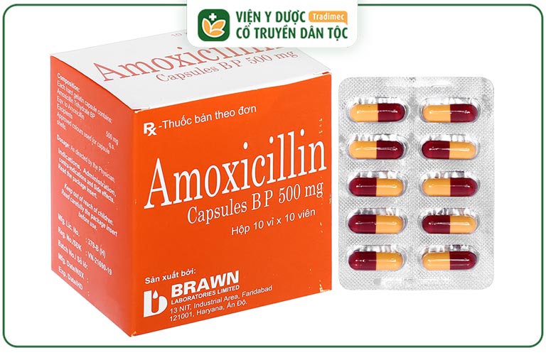 Thuốc chữa viêm phế quản Amoxicillin cho hiệu quả cao