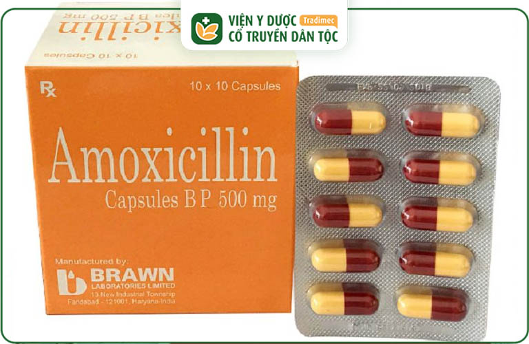 Amoxicillin được các bác sĩ chỉ định sử dụng cho bệnh nhân viêm tai giữa do nhiễm trùng