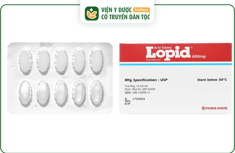 Thuốc điều trị rối loạn lipid máu Lopid