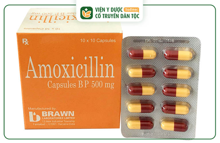 Amoxicillin thường được bác sĩ kê đơn trong trường hợp viêm xoang